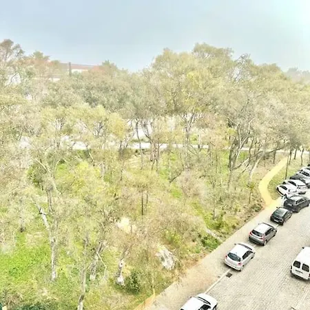 Appartement - T3 Faro